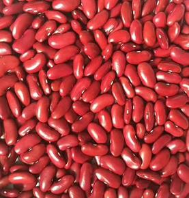 Haricots rouges