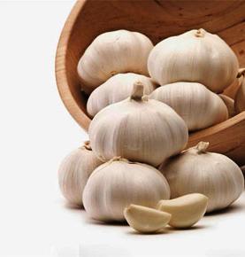 Ail blanc