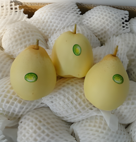 Fresh Ya Pear 