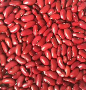 Haricots rouges 